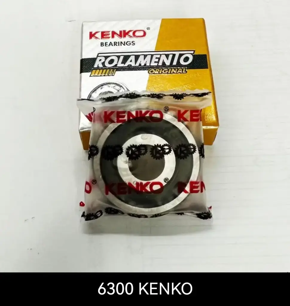 BEARING 6300